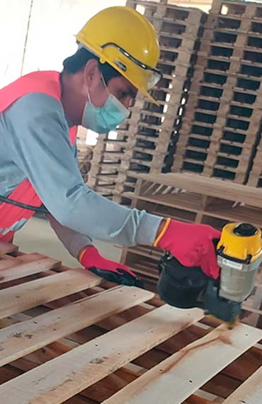 Venta de Pallet Certificados