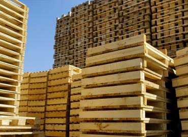 Reacondicionamos Pallet en Chile